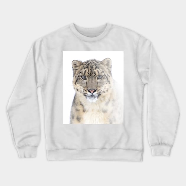 Snow Leopard Crewneck Sweatshirt by Jim Cumming